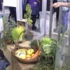 9. Међународни Фестивал Науке 2015.
